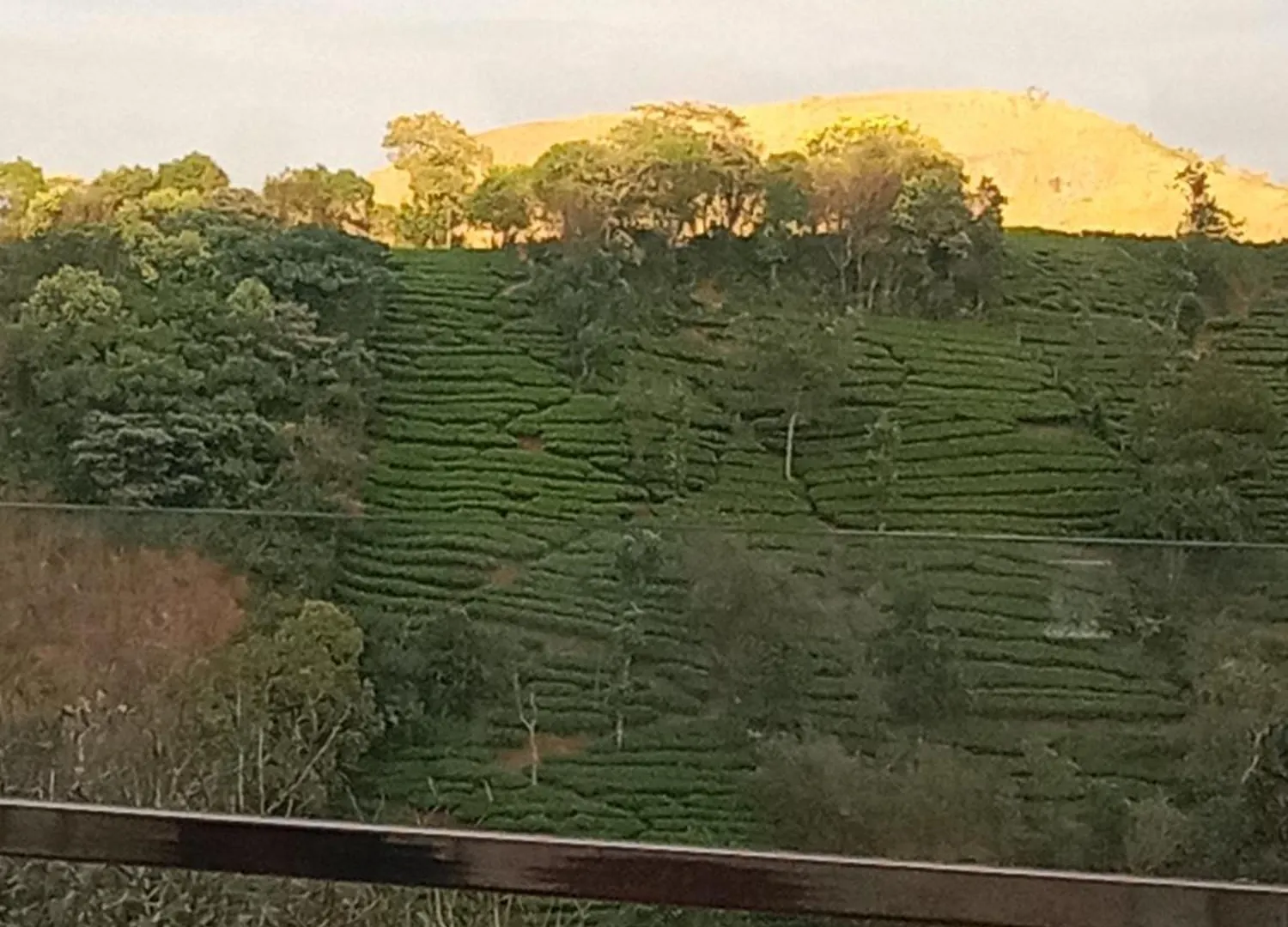 Vagmon Golden Valley Vagamon